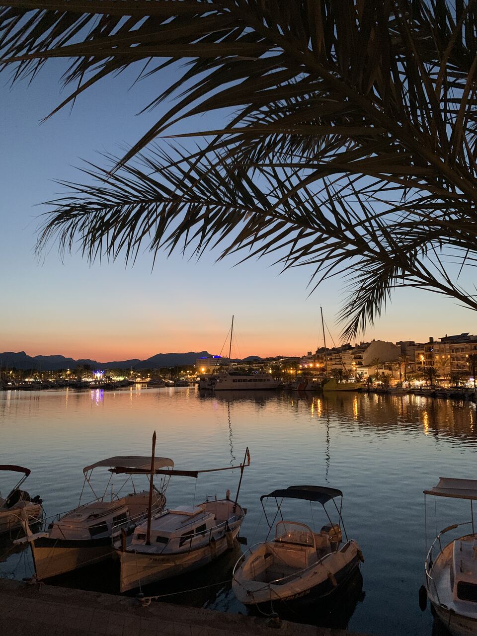 Alcudia atrakcje