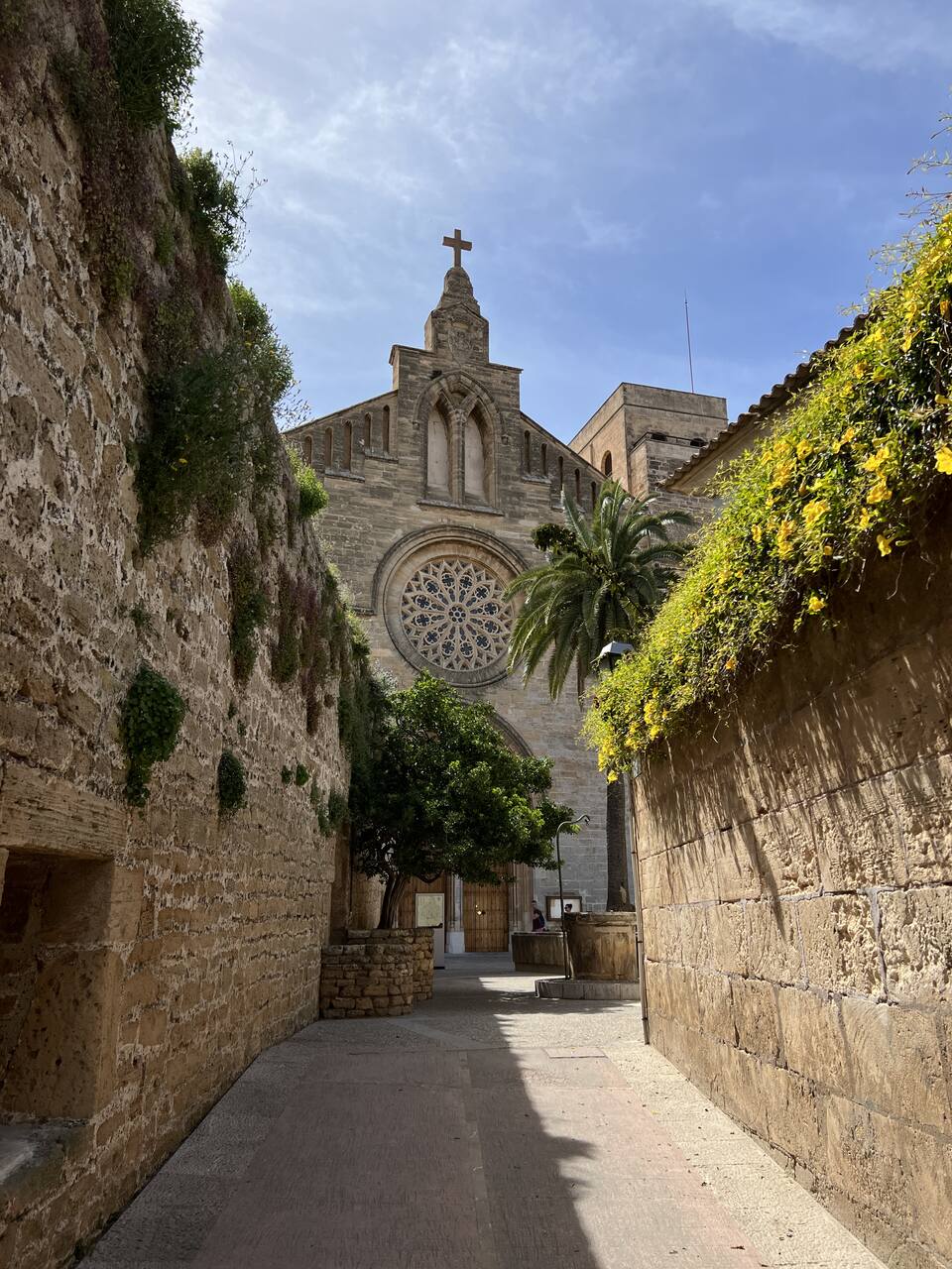 Alcudia poza sezonem