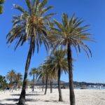 Alcudia poza sezonem