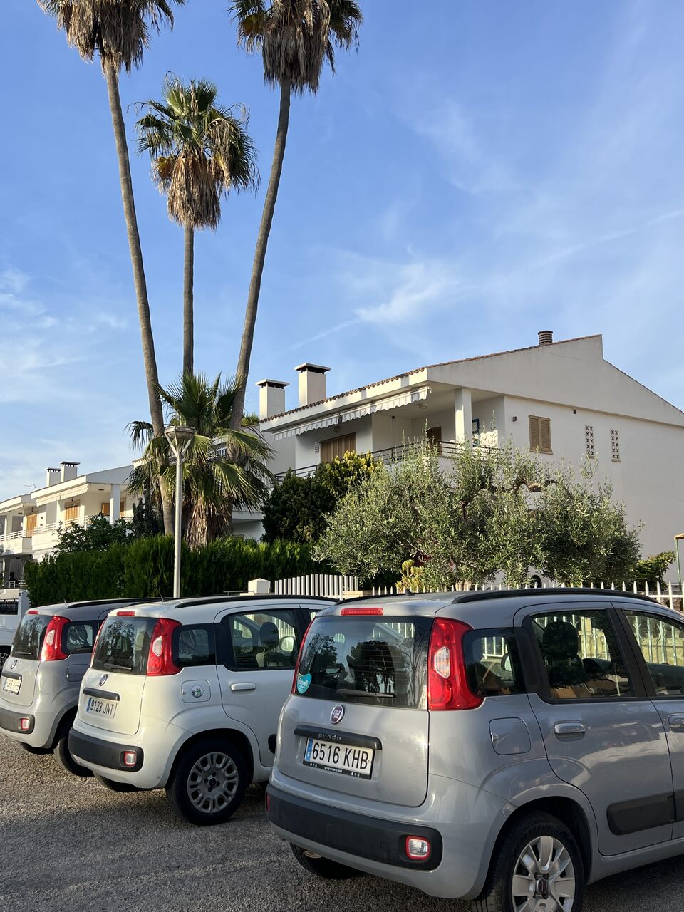 jak poruszać się po alcudii