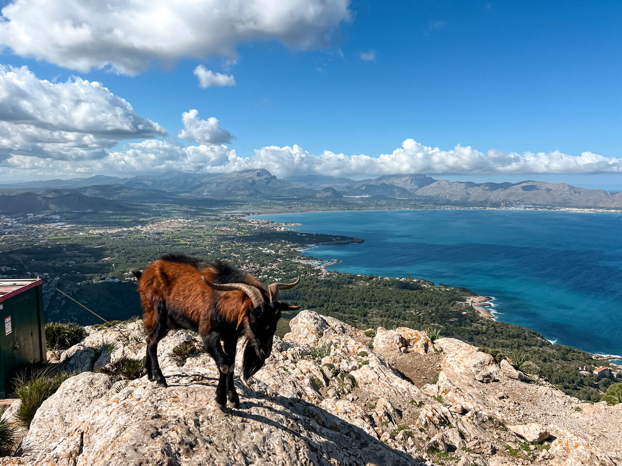 szlaki piesze i rowerowe Alcudia