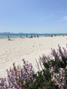 pogoda alcudia jesien