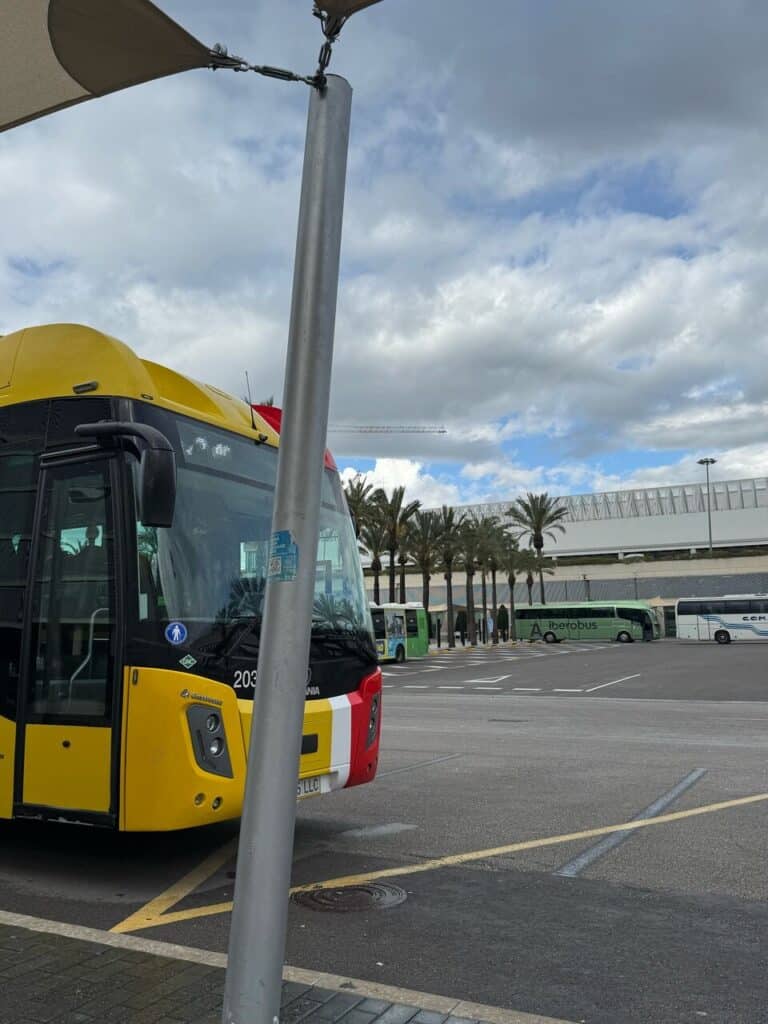 autobus palma alcudia